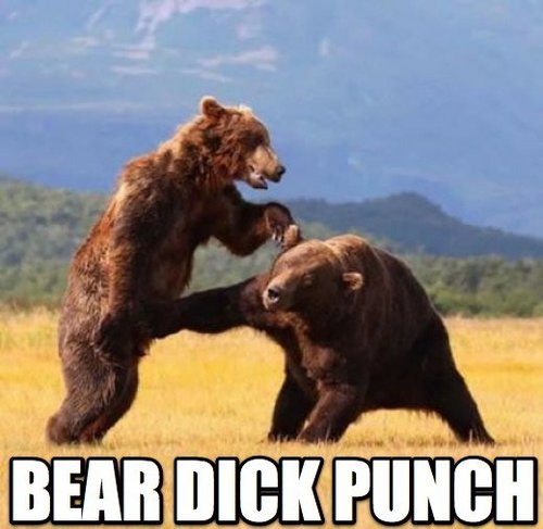 Bear Punch.jpg